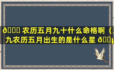 🐞 农历五月九十什么命格啊（五九农历五月出生的是什么星 🌵 座）